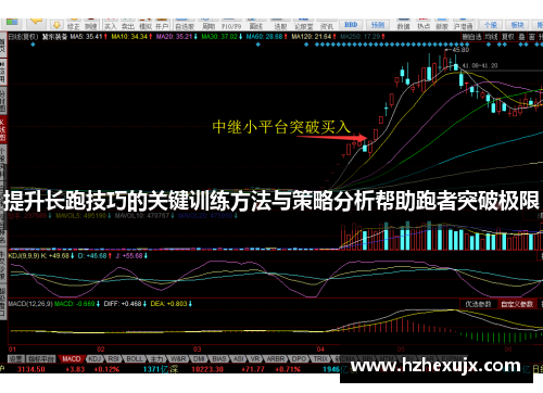 提升长跑技巧的关键训练方法与策略分析帮助跑者突破极限