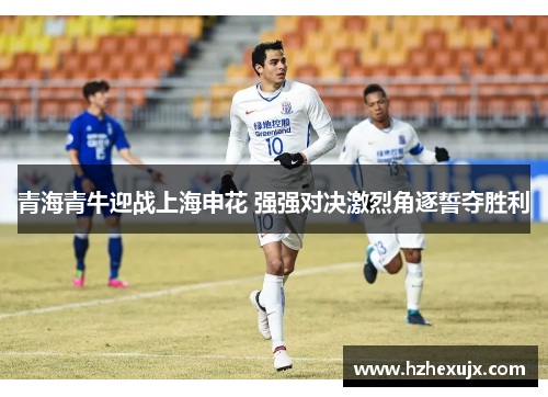 青海青牛迎战上海申花 强强对决激烈角逐誓夺胜利